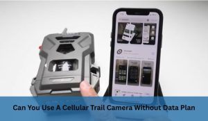 Can You Use A Cellular Trail Camera Without Data Plan?